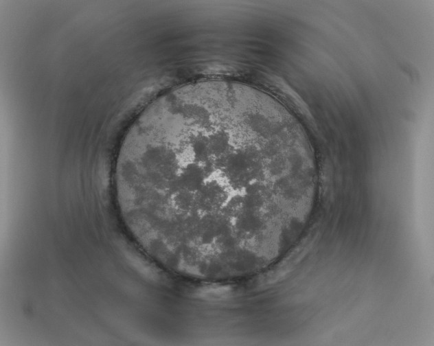 X0000113600257200910091526