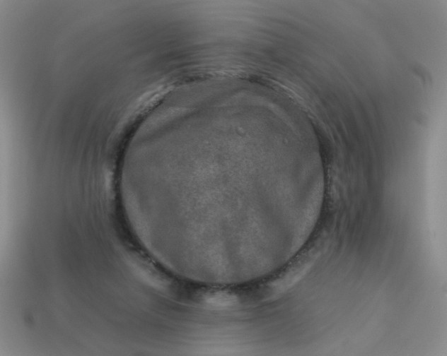 X0000113600258200910091526