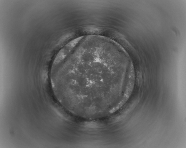 X0000113600259200910091526