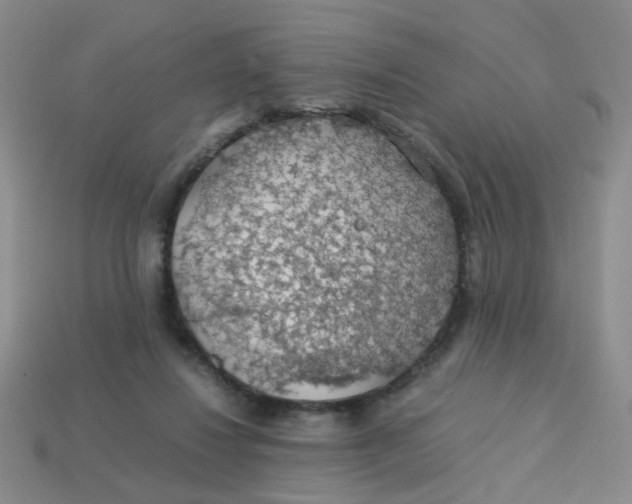 X0000113600260200910091526