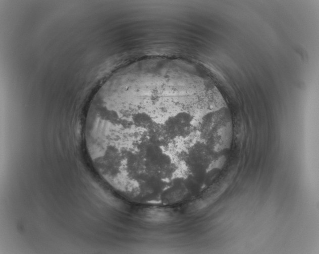 X0000113600261200910091526