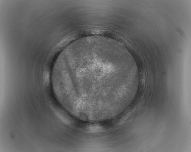 X0000113600262200910091526