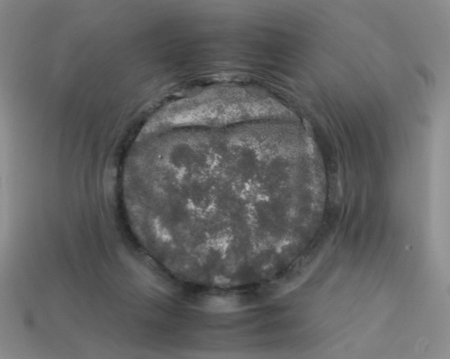 X0000113600263200910091526