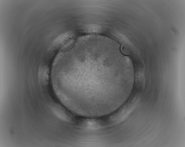 X0000113600264200910091526