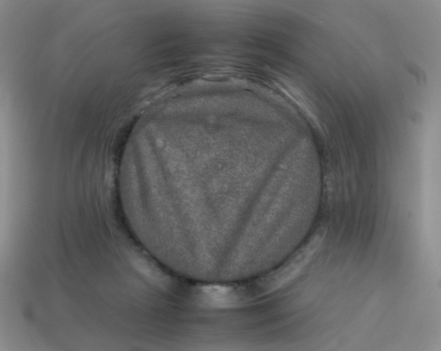 X0000113600265200910091526