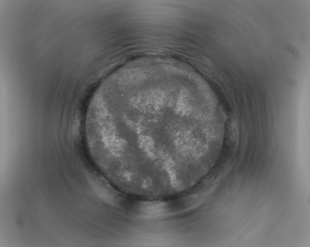 X0000113600266200910091526