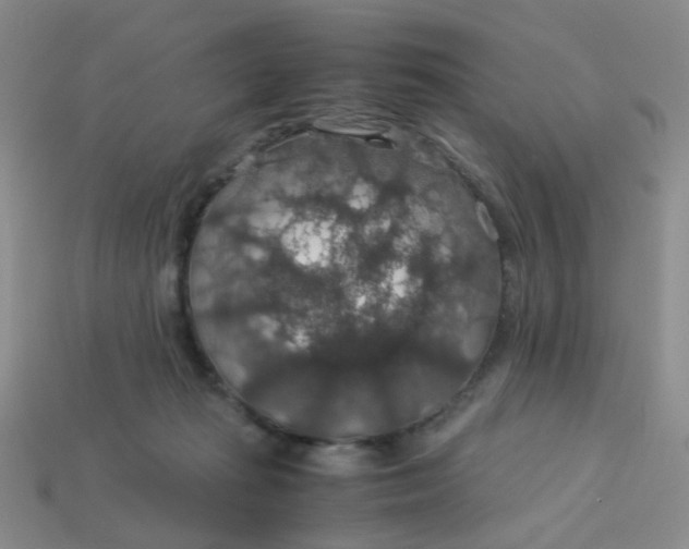 X0000113600269200910091526