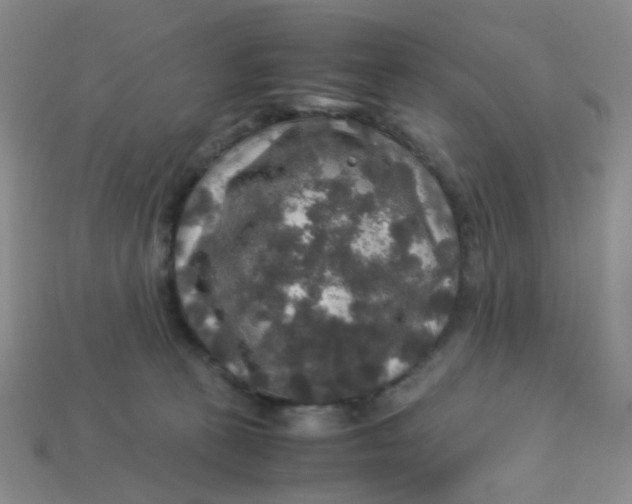 X0000113600273200910091526