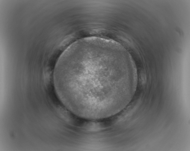 X0000113600276200910091526