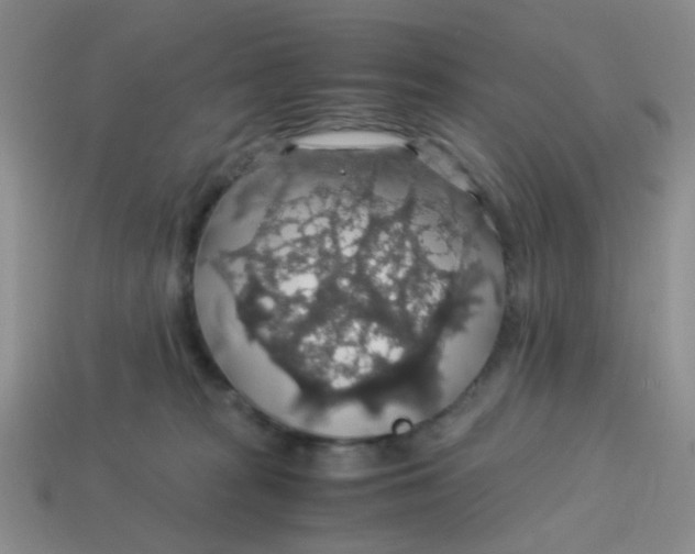 X0000113600277200910091526