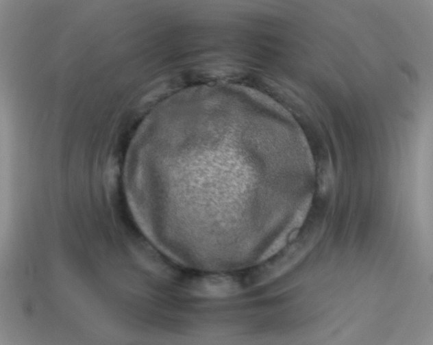 X0000113600279200910091526