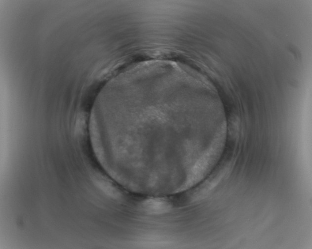 X0000113600280200910091526