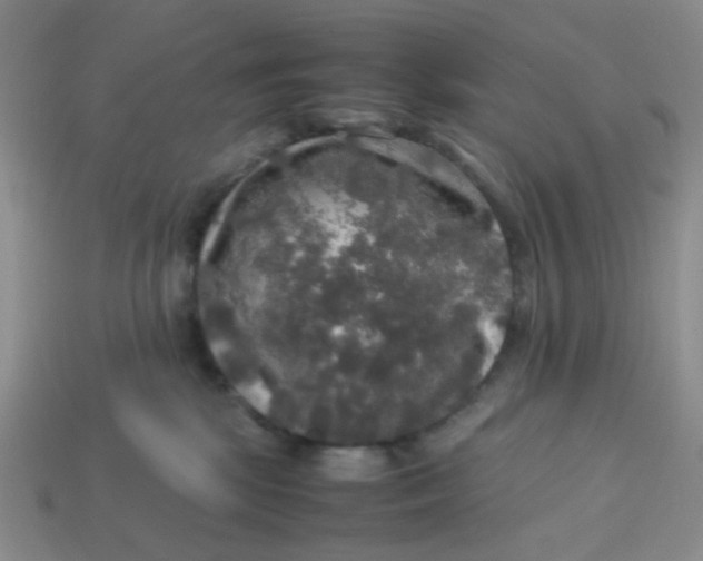 X0000113600281200910091526