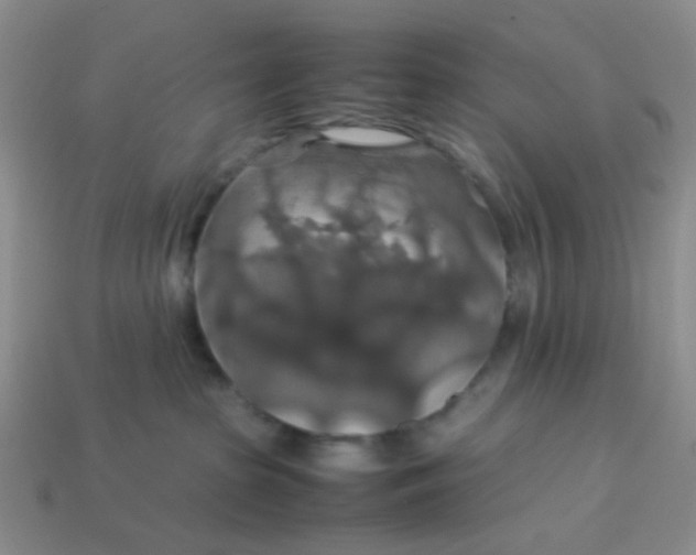 X0000113600285200910091527