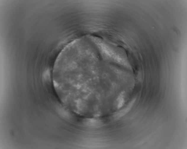 X0000113600286200910091527