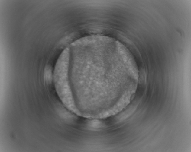 X0000113600287200910091527