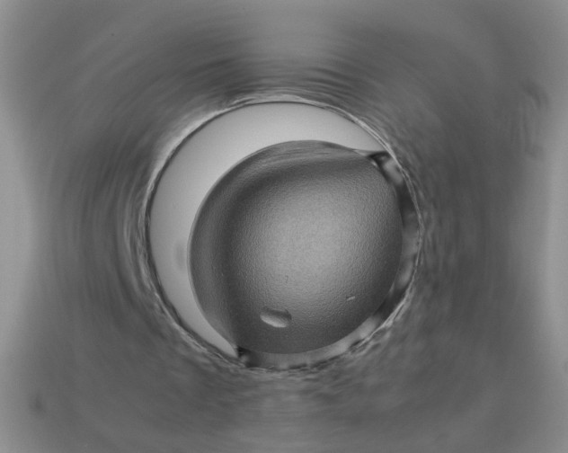 X0000113600289200910091526