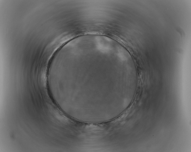 X0000113600290200910091526