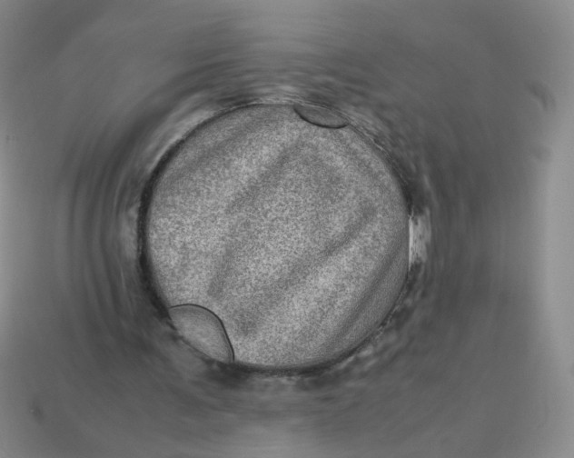 X0000113600291200910091526