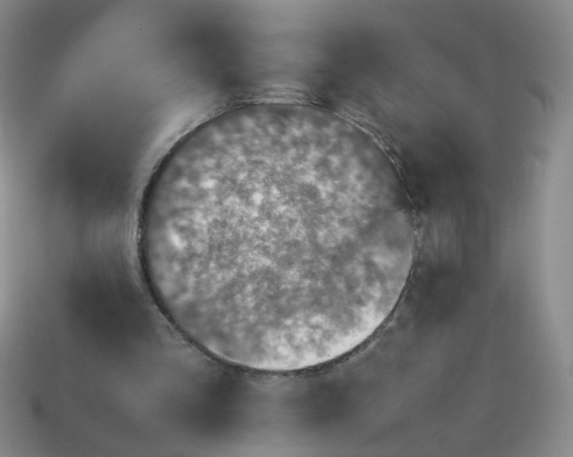 X0000113600293200910091526