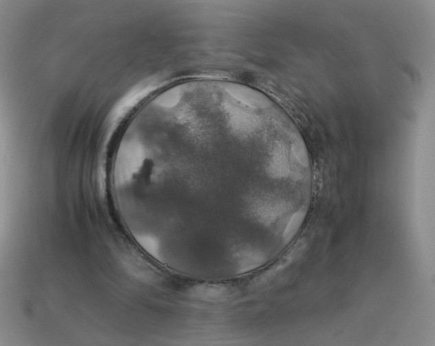 X0000113600294200910091526