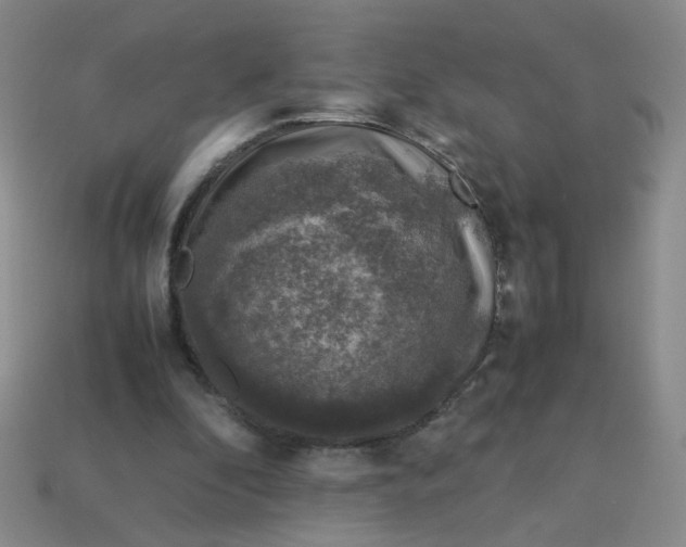 X0000113600296200910091526