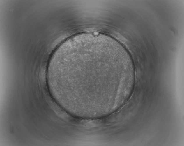 X0000113600297200910091526