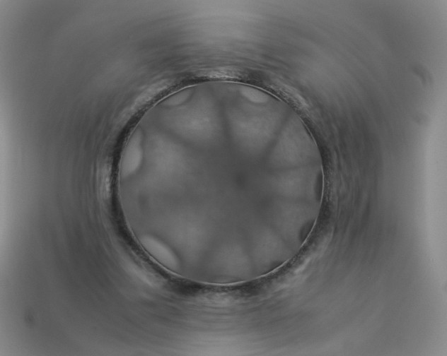 X0000113600299200910091526