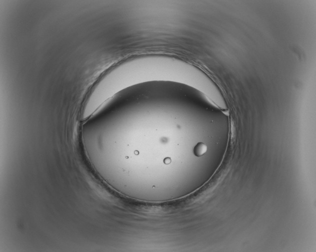 X0000113600301200910091526