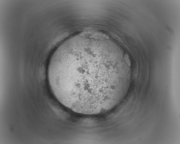 X0000113600303200910091526