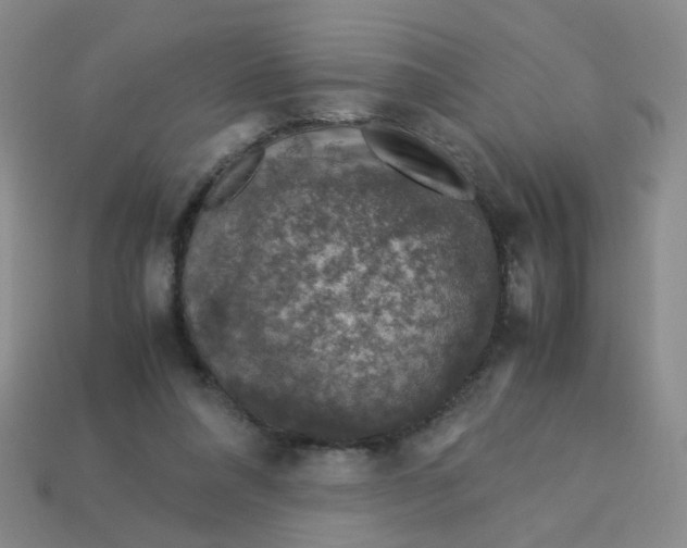 X0000113600304200910091526