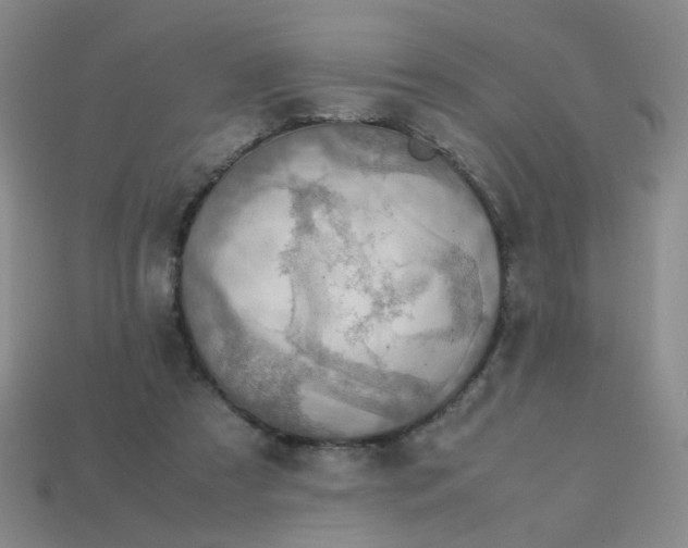 X0000113600305200910091526