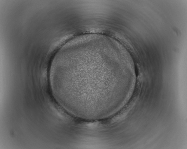 X0000113600306200910091526