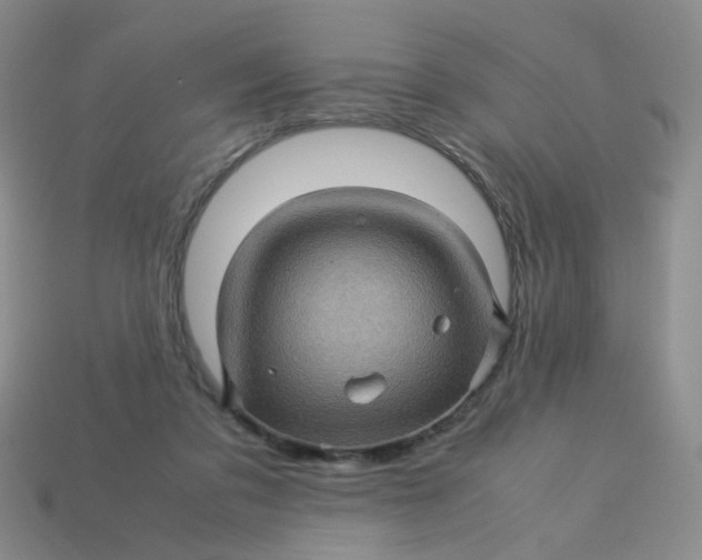 X0000113600309200910091526