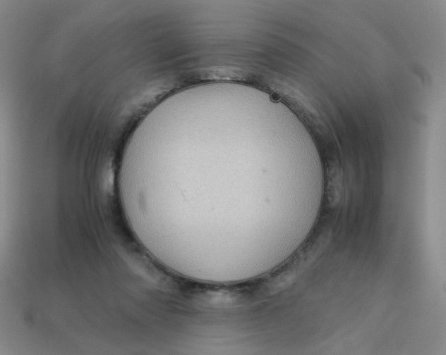 X0000113600310200910091526