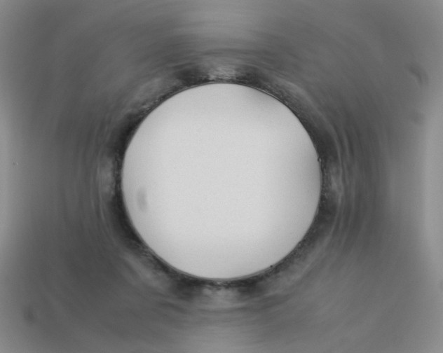 X0000113600311200910091526