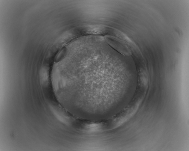 X0000113600312200910091526