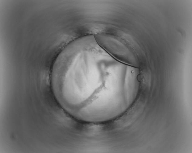 X0000113600313200910091526