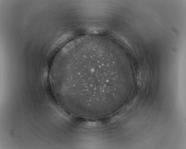 X0000113600314200910091526