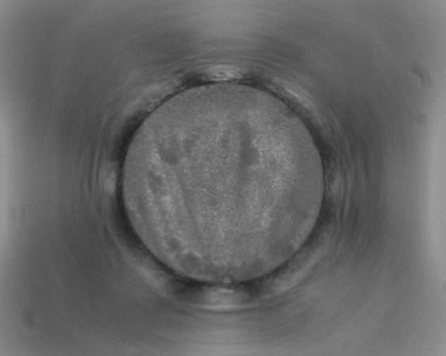 X0000113600315200910091526