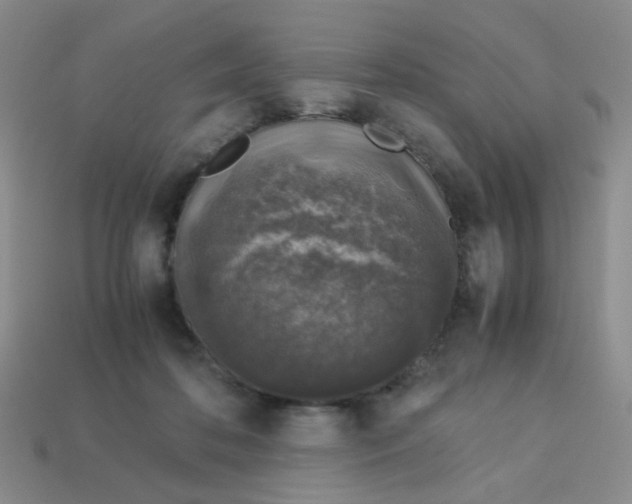 X0000113600316200910091526