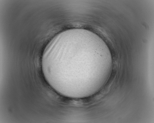 X0000113600317200910091526