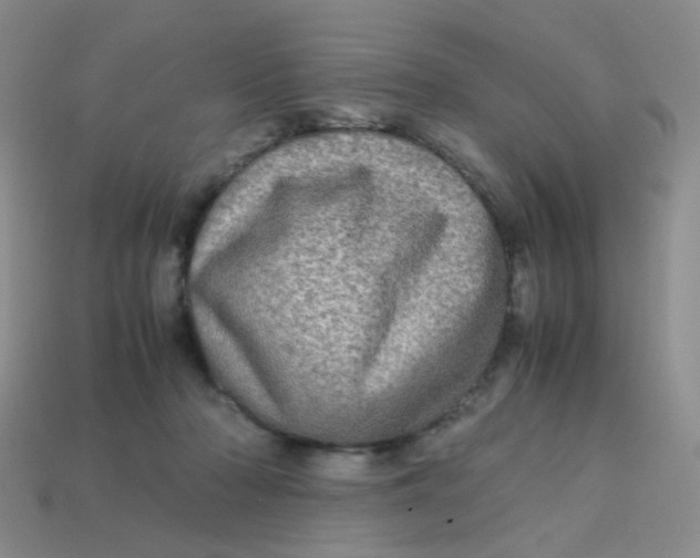 X0000113600318200910091526