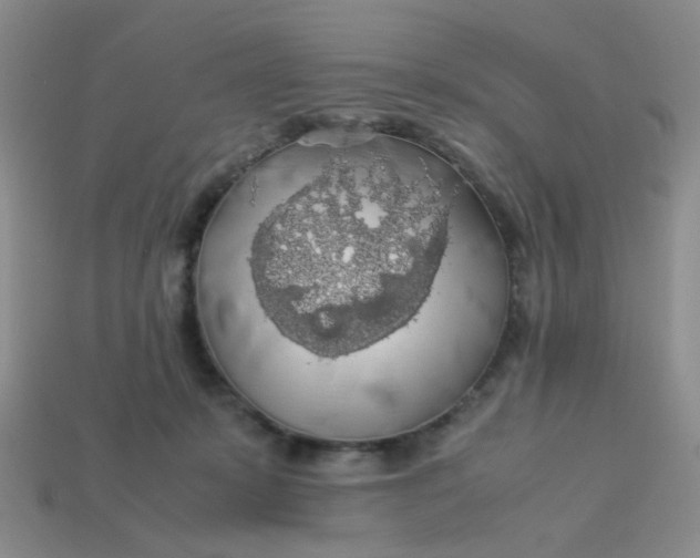 X0000113600319200910091526