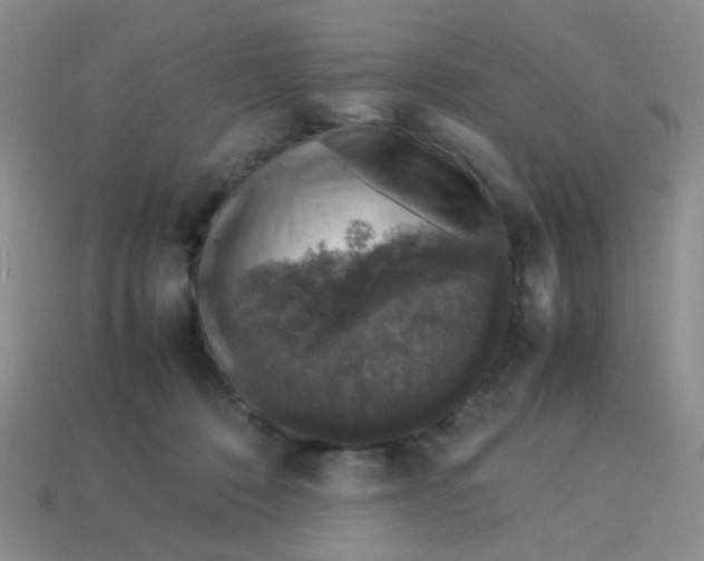 X0000113600320200910091526