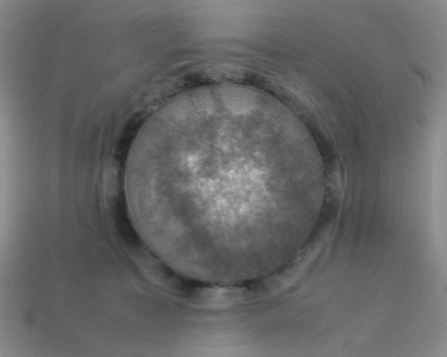 X0000113600323200910091526