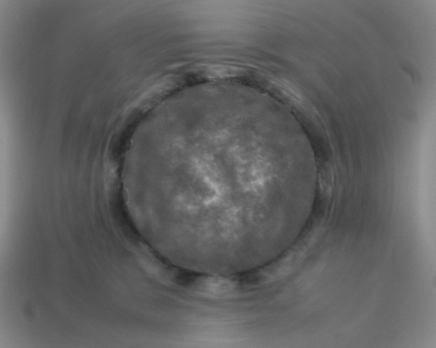 X0000113600327200910091525