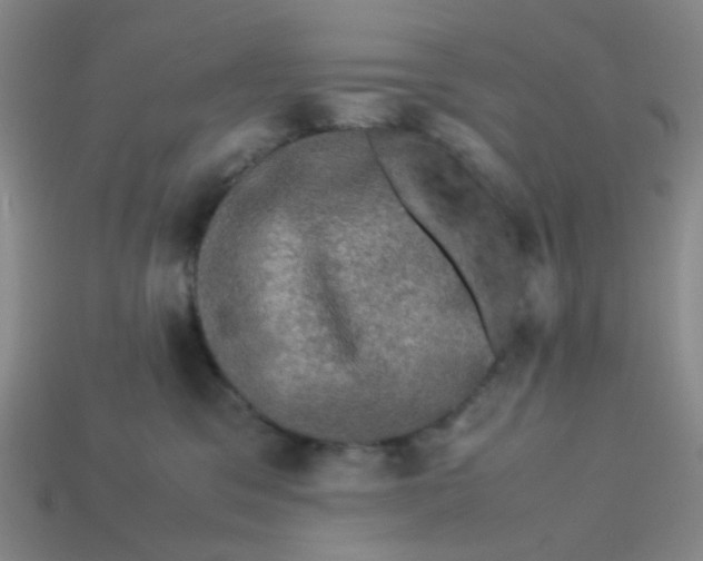 X0000113600329200910091525