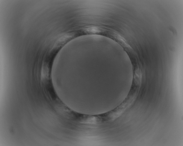 X0000113600330200910091525