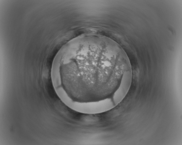 X0000113600331200910091525